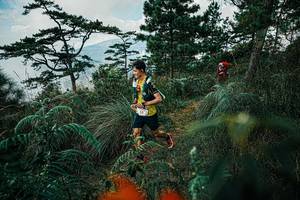 BIB: 
                            <button type="button" onclick="openModal(25257907)" class="btn btn-primary btn-sm float-right btn-popup" data-toggle="modal" data-target=".modal-high-quality">
                        <i class="fas fa-shopping-cart"></i> Add to Cart
                    </button>
                                            <button type="button" onclick="isThisMe(25257907, true)" class="btn btn-success btn-sm float-right btn-popup btn-isme hidden" data-toggle="tooltip" data-placement="bottom" title="นี่คือรูปของคุณใช่ไหม คลิกที่นี่เพื่อเอาเข้าอัลบั้ม">
                        <i class="fas fa-plus"></i> Add to album
                    </button>
                    <button type="button" onclick="isThisMe(25257907, false)" class="btn btn-warning btn-sm float-right btn-popup btn-isnotme hidden">
                        <i class="fas fa-ban"></i> Remove from album
                    </button>